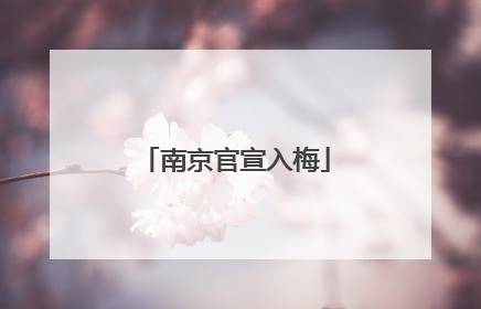 南京官宣入梅